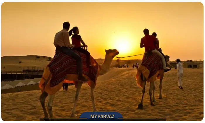 Camel ride at sunset in Dubai